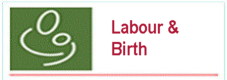 labour_birth labour_birth