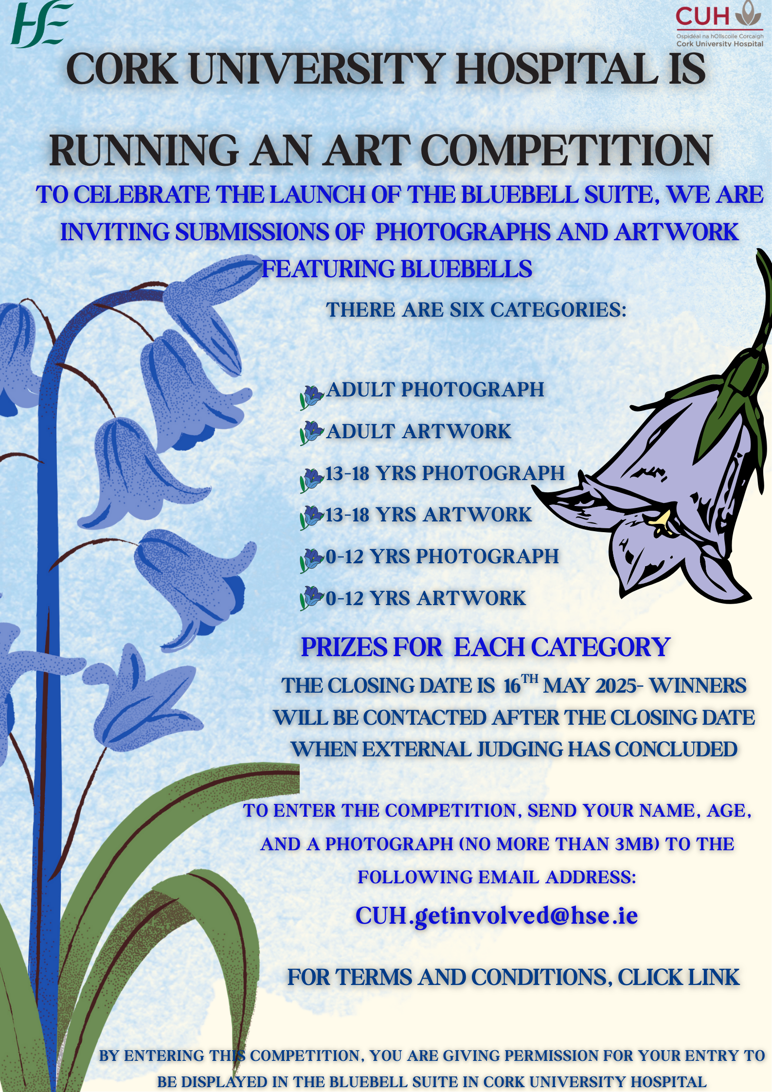 Bluebell-final-draft-link--1