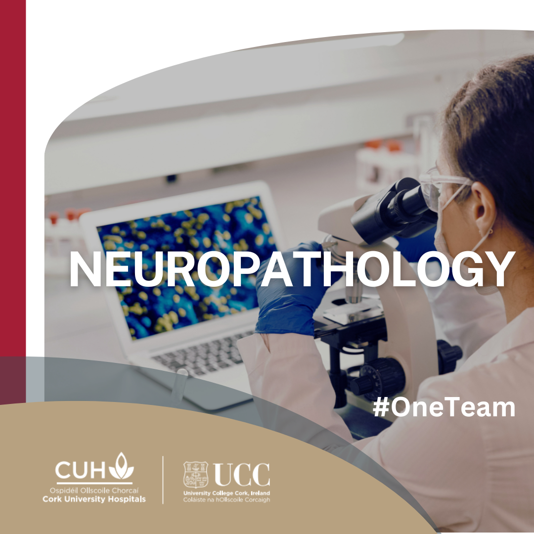 Neuropathology