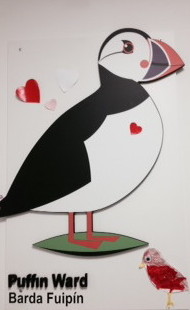 puffin